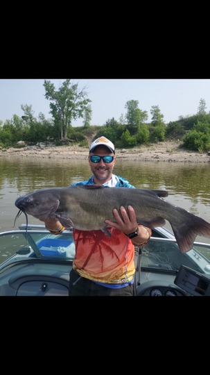 Channel Catfish