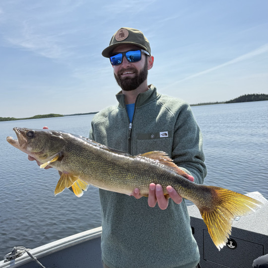 Walleye