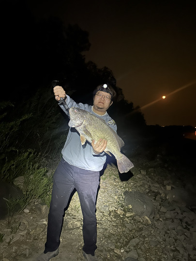 Freshwater Drum