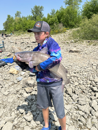 Channel Catfish