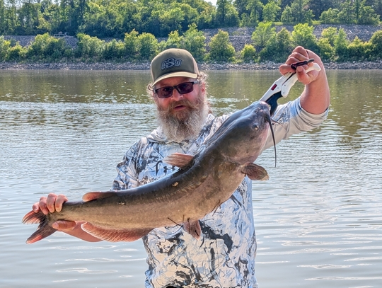 Channel Catfish