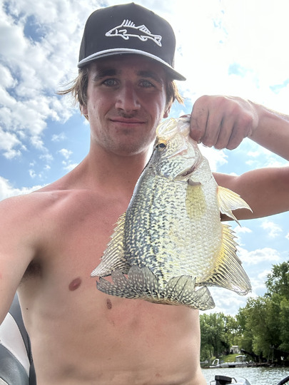 Black Crappie