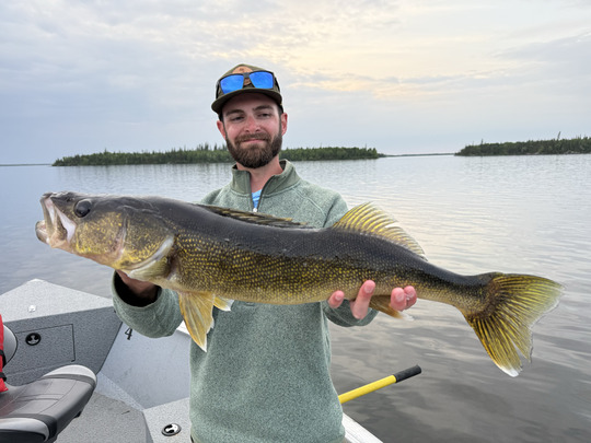 Walleye