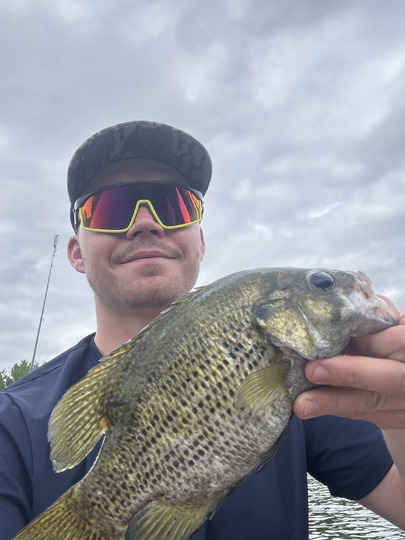 Rock Bass
