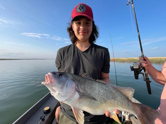 Freshwater Drum