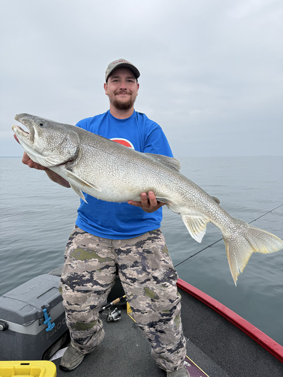 Lake Trout