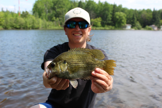 Rock Bass