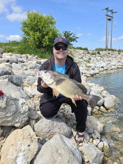 Freshwater Drum