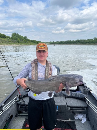Channel Catfish