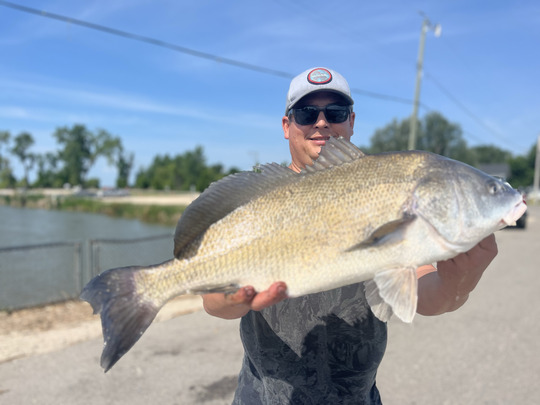 Freshwater Drum