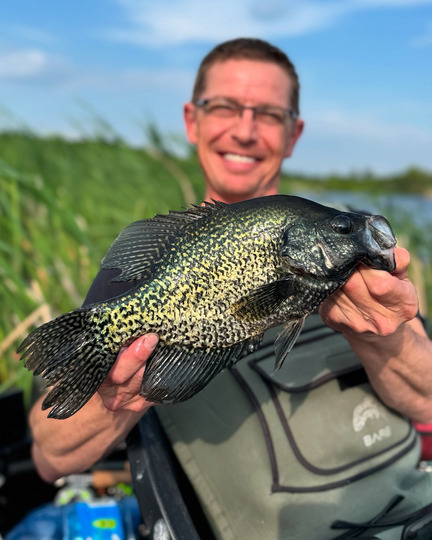 Black Crappie