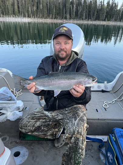 Rainbow Trout