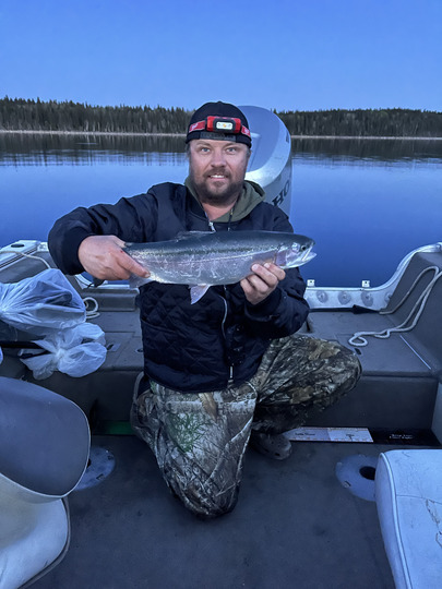 Rainbow Trout