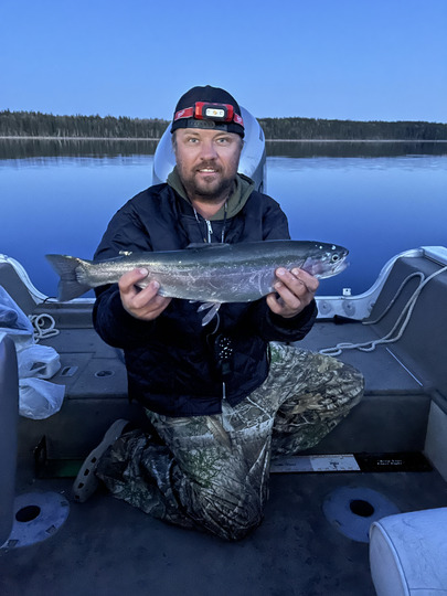Rainbow Trout