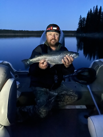 Rainbow Trout