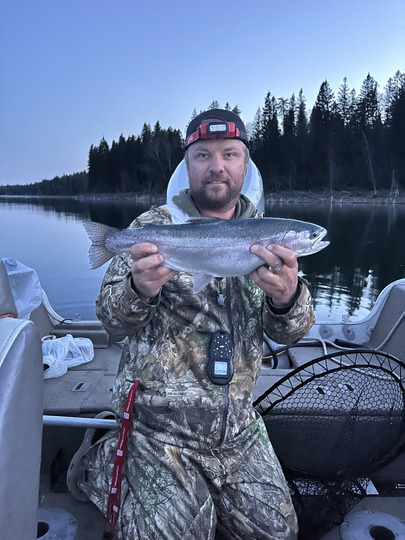 Rainbow Trout