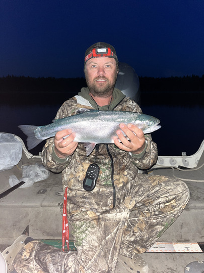 Rainbow Trout