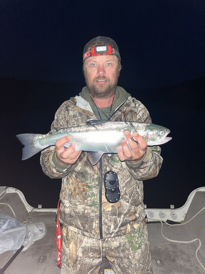 Rainbow Trout