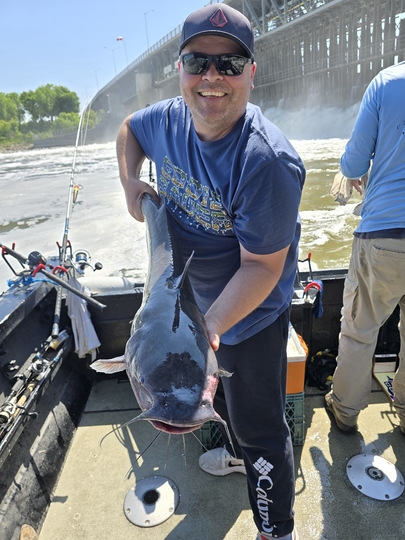 Channel Catfish