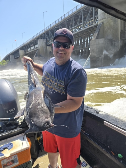 Channel Catfish