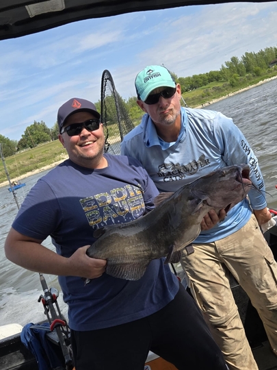 Channel Catfish