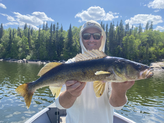 Walleye