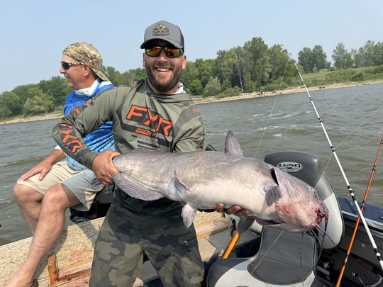 Channel Catfish