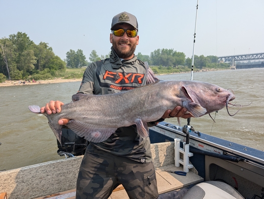 Channel Catfish