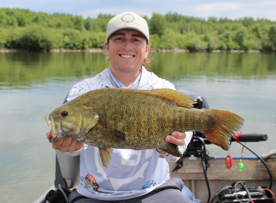 Smallmouth Bass