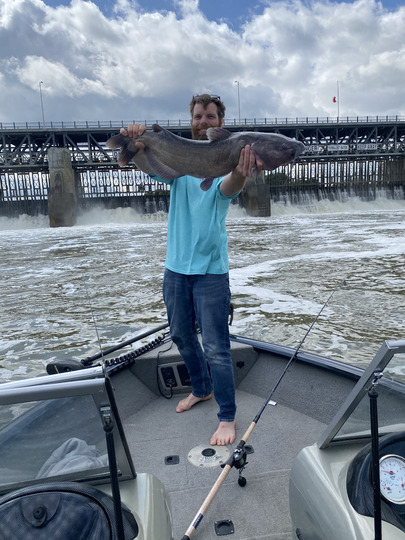 Channel Catfish