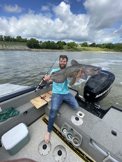 Channel Catfish