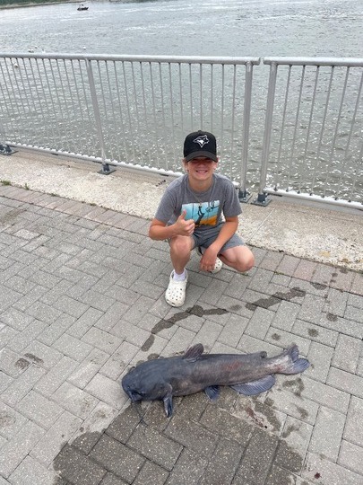 Channel Catfish