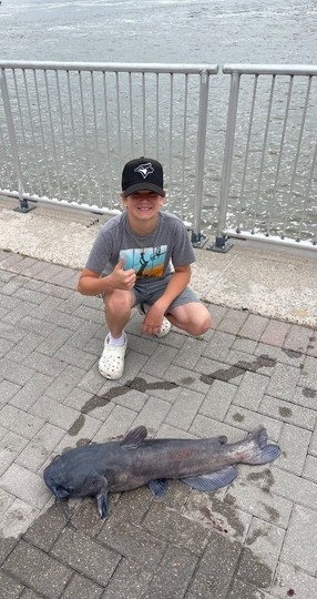 Channel Catfish
