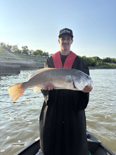 Freshwater Drum