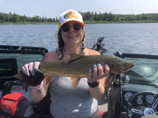 Tiger Trout