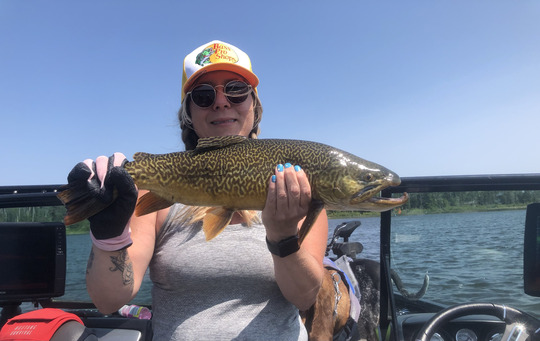 Tiger Trout