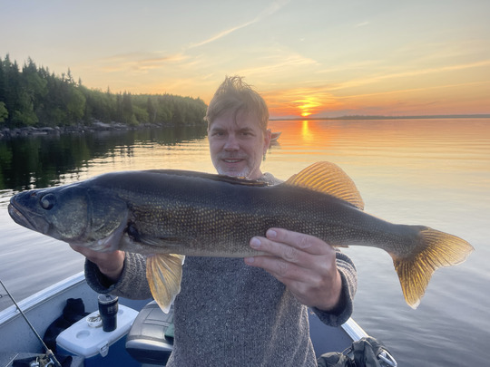 Walleye