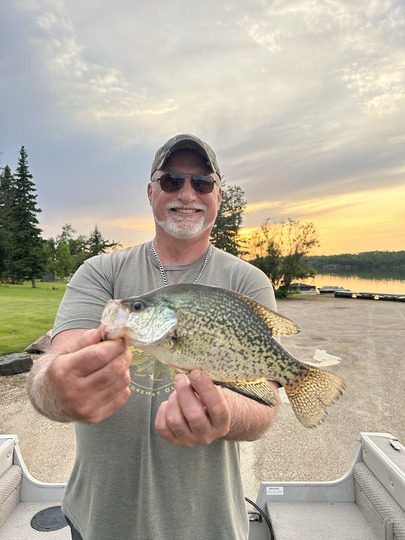 Black Crappie