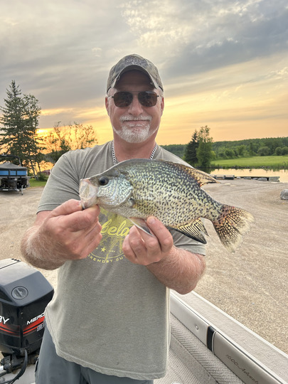 Black Crappie