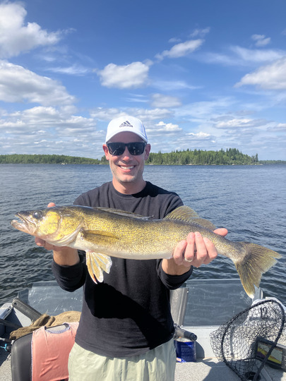 Walleye