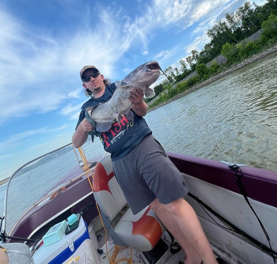 Channel Catfish