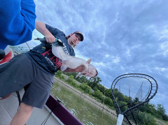 Channel Catfish