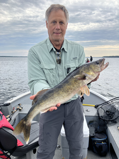 Walleye
