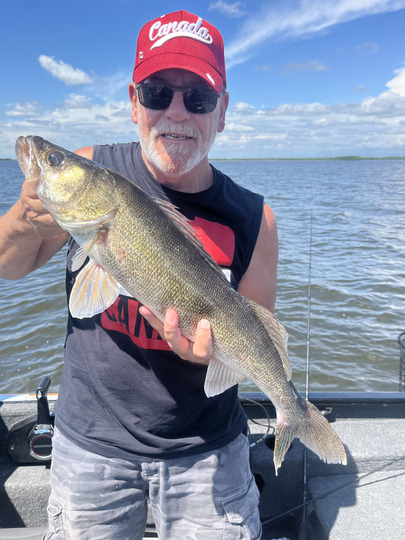 Walleye