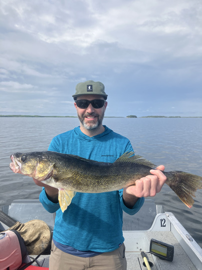 Walleye