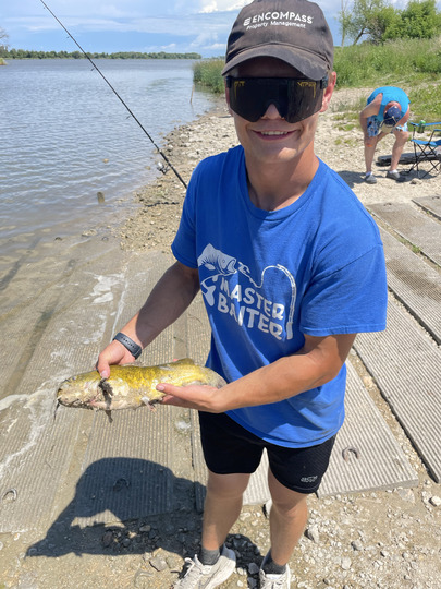 Bullhead