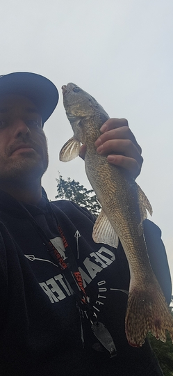 Sauger
