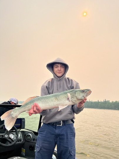 Walleye