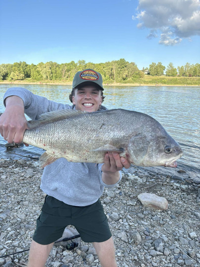 Freshwater Drum