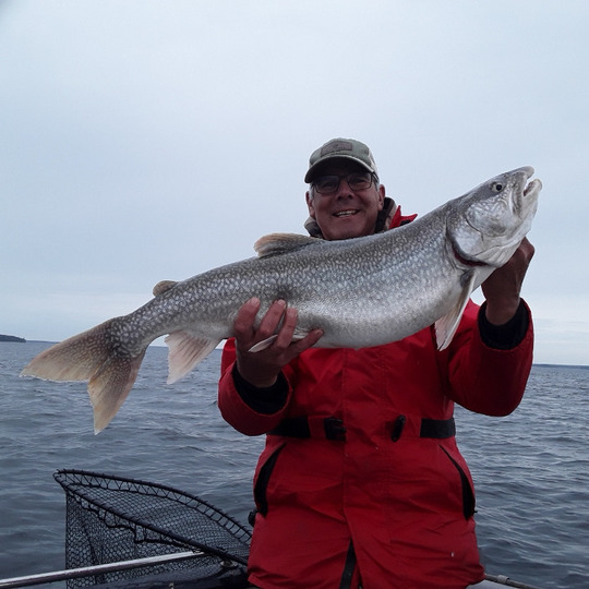 Lake Trout